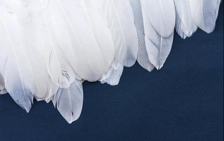 20190723213423152315.jpg 20190723213423152315.jpg