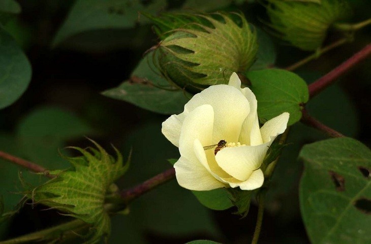 38562849_1410667327450_mthumb.jpg 38562849_1410667327450_mthumb.jpg