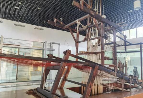 南通紡博會(huì)為您分享棉花的故事